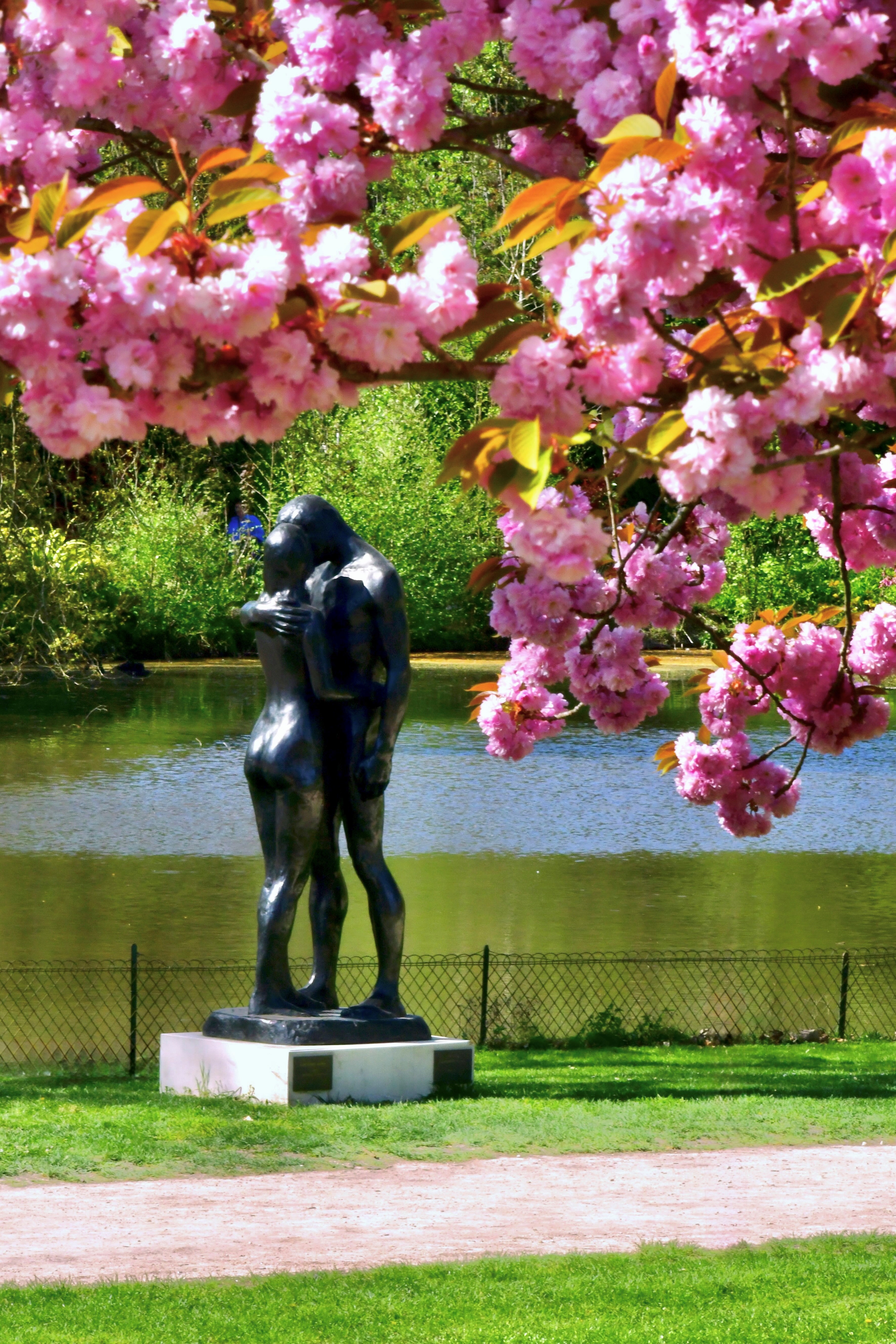 Les Deux Arbres (H. 236 cm), Jardin de  l'Amour at Château de Cheverny, Loire Valley