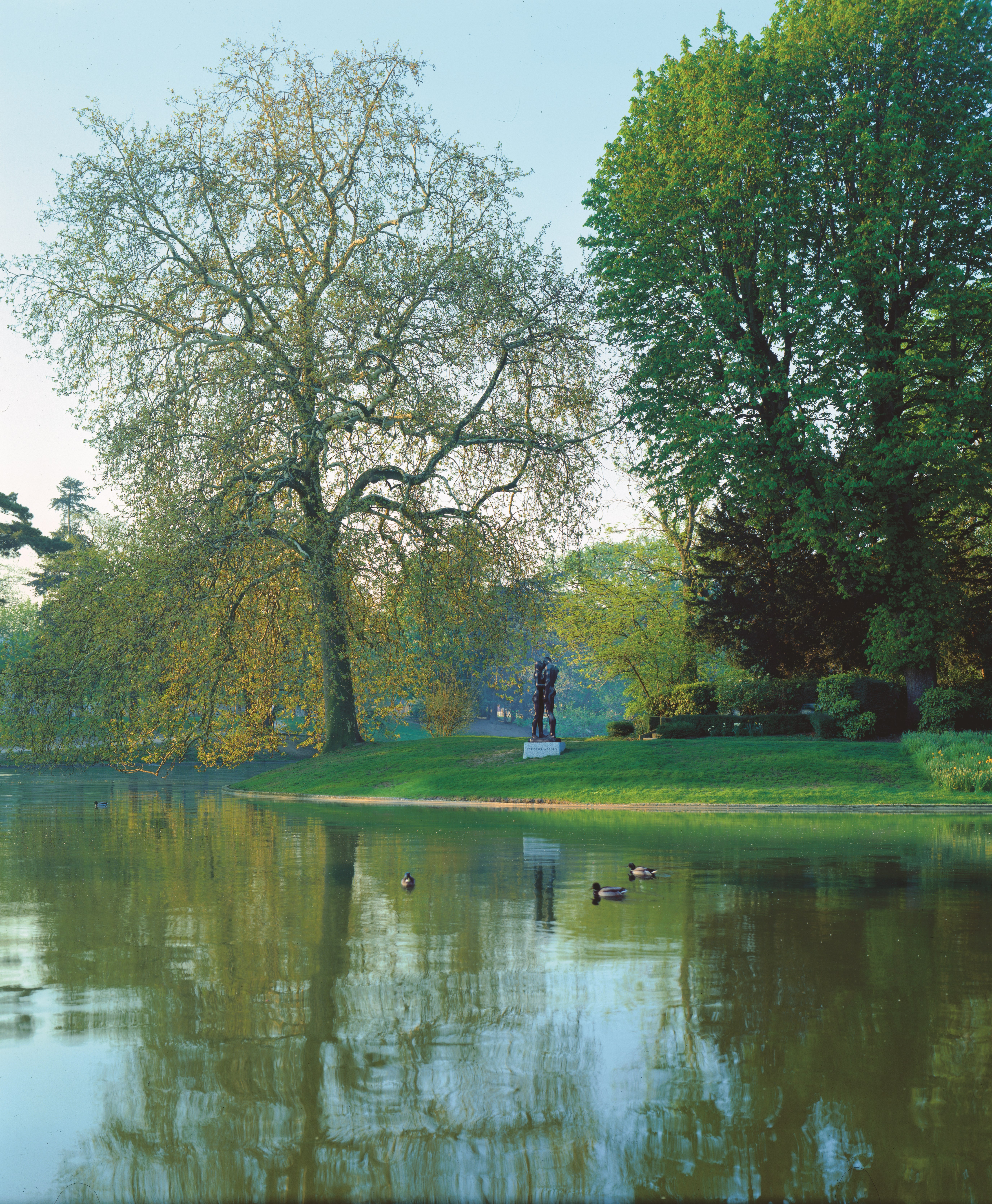 Les Deux Arbres (H 236 cm), Bois de Boulogne, Paris