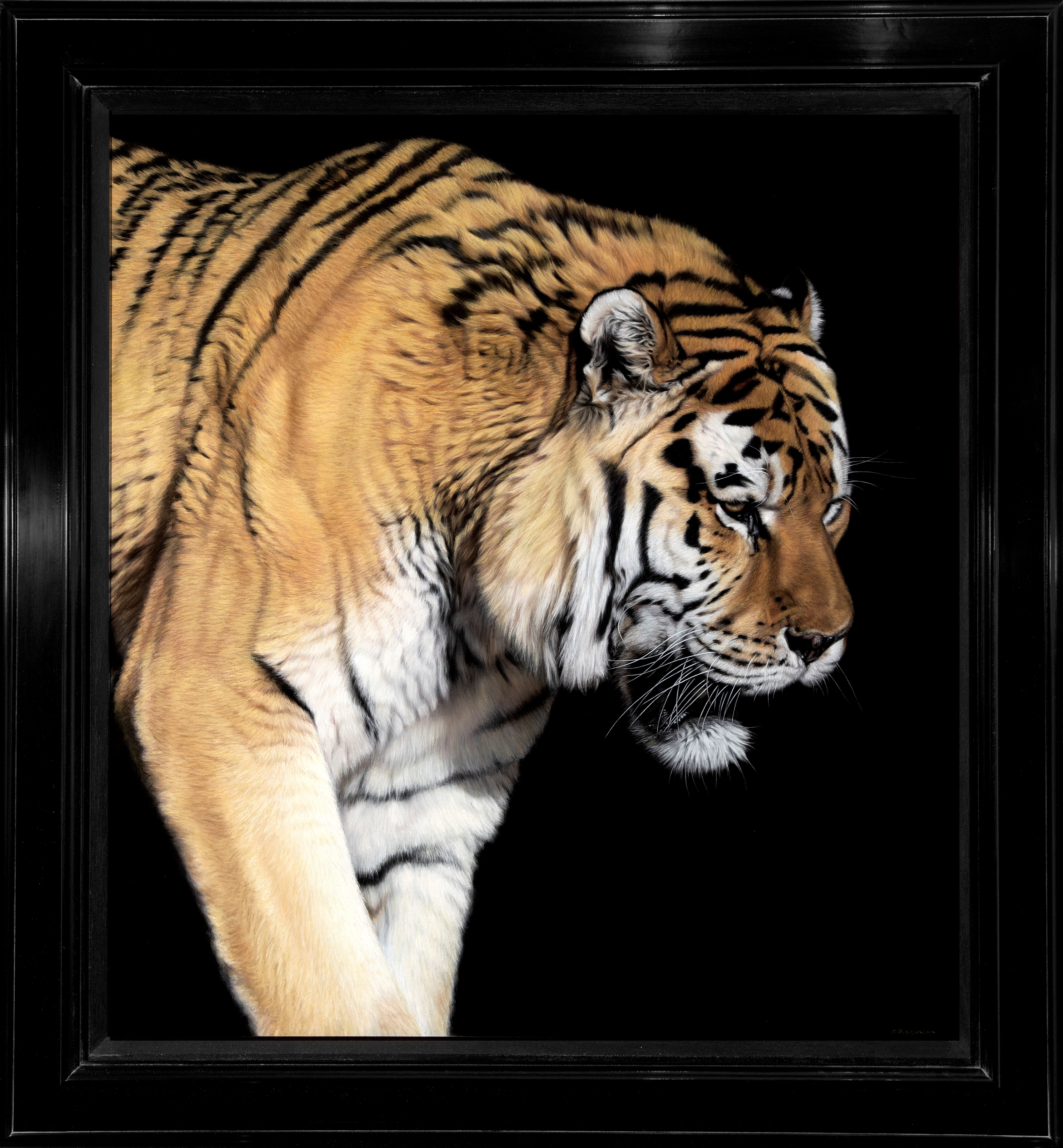 Q&A: Jonathan Cooper