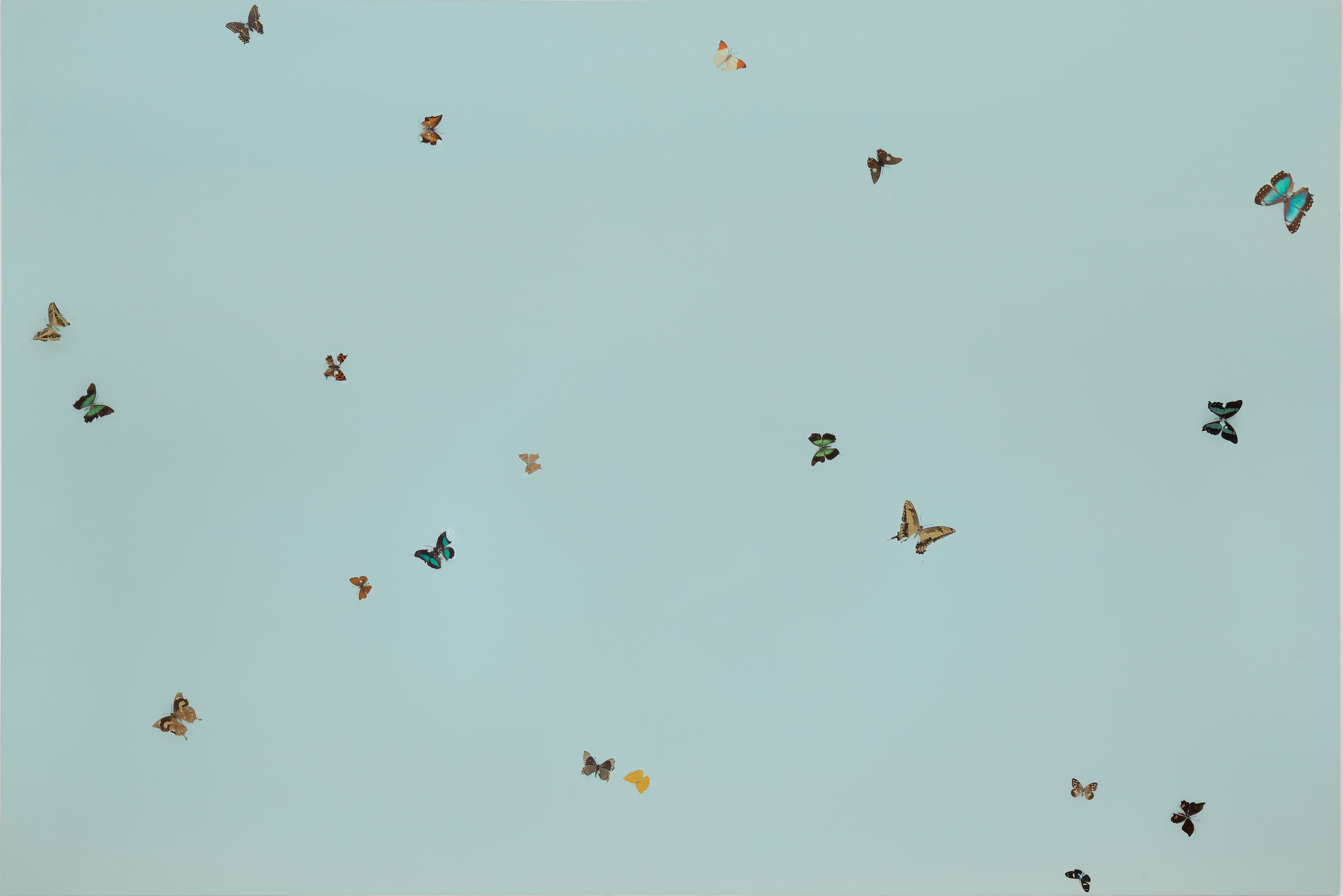 selected img